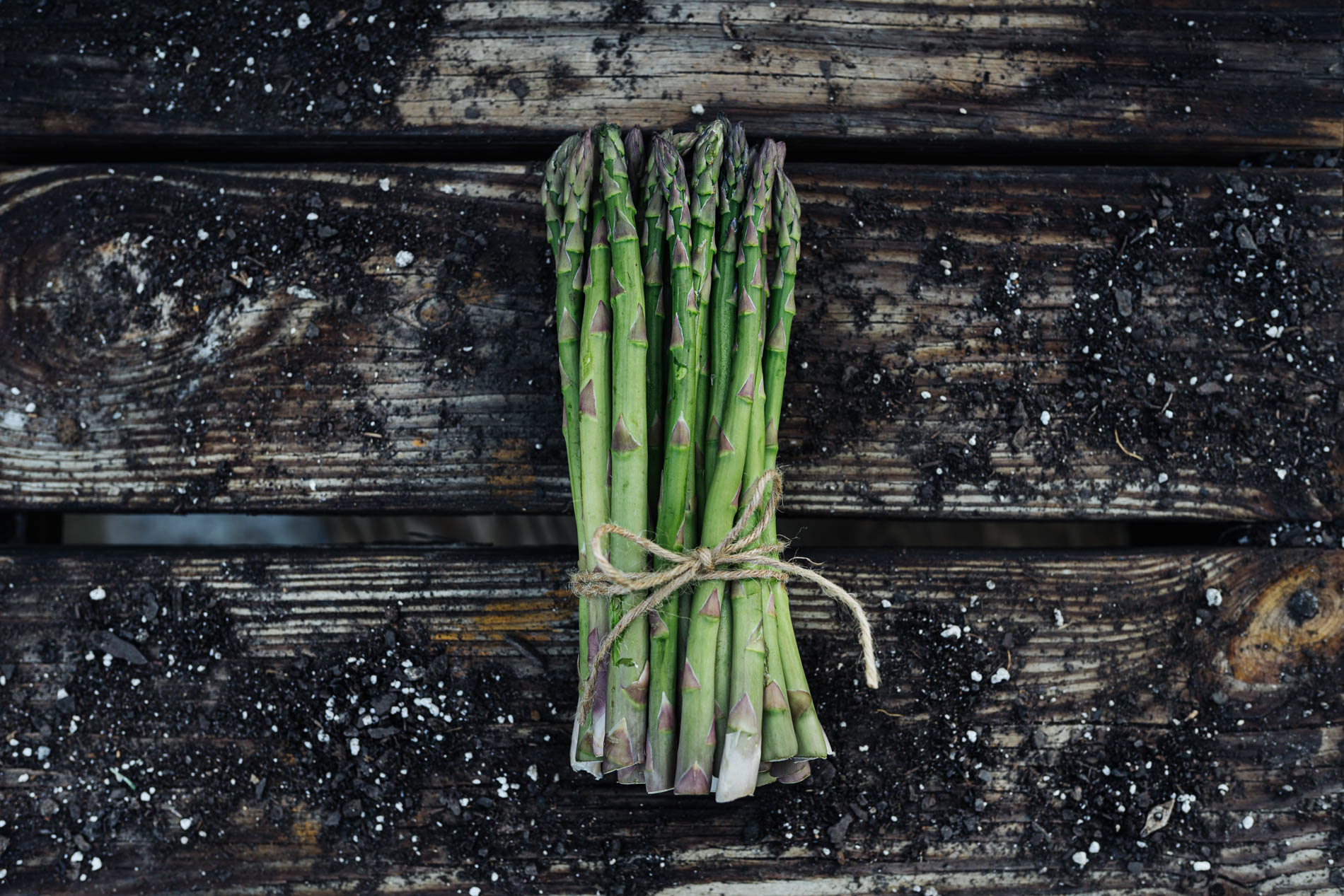 Growing Asparagus