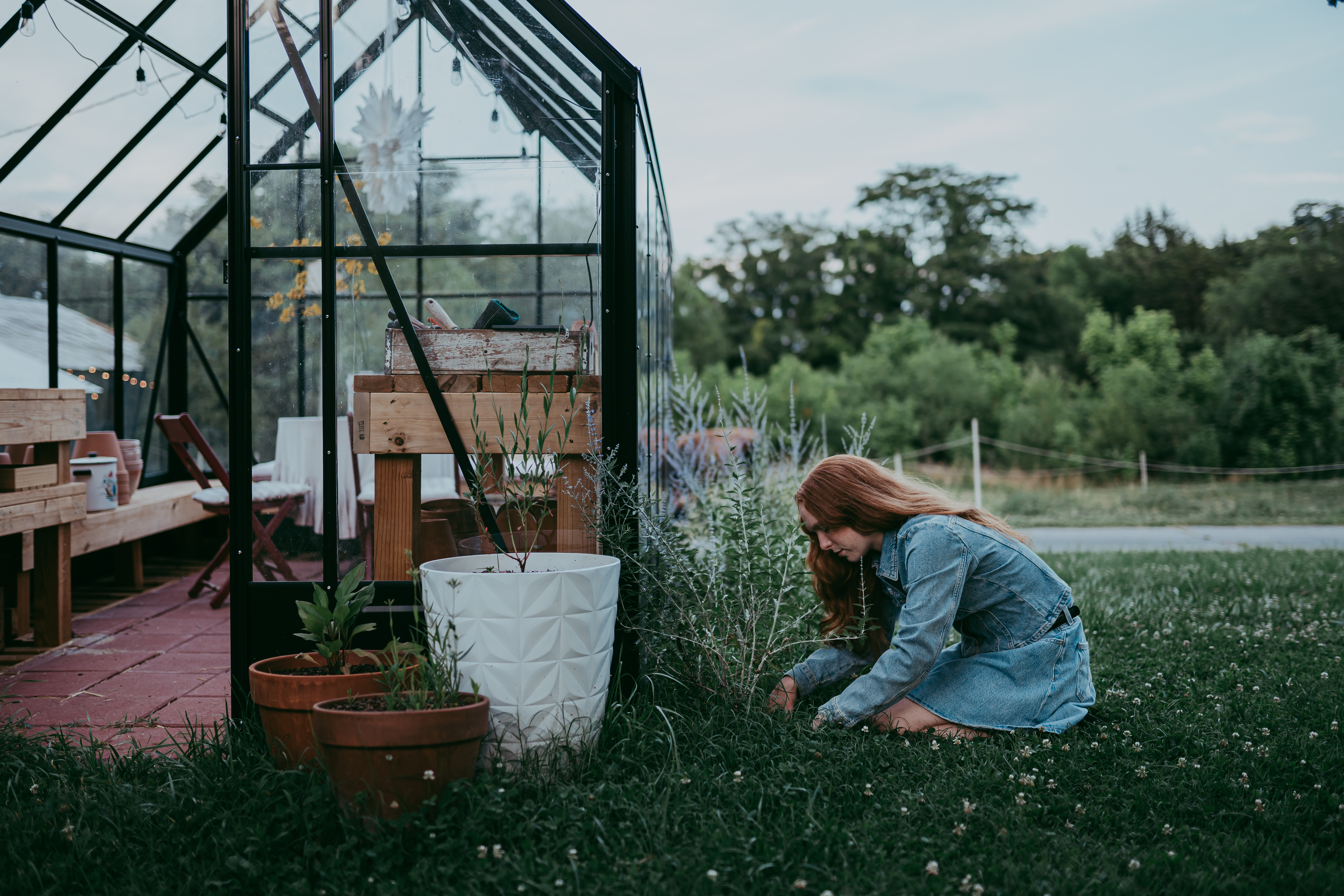 Plant Your Perennials in the Fall!