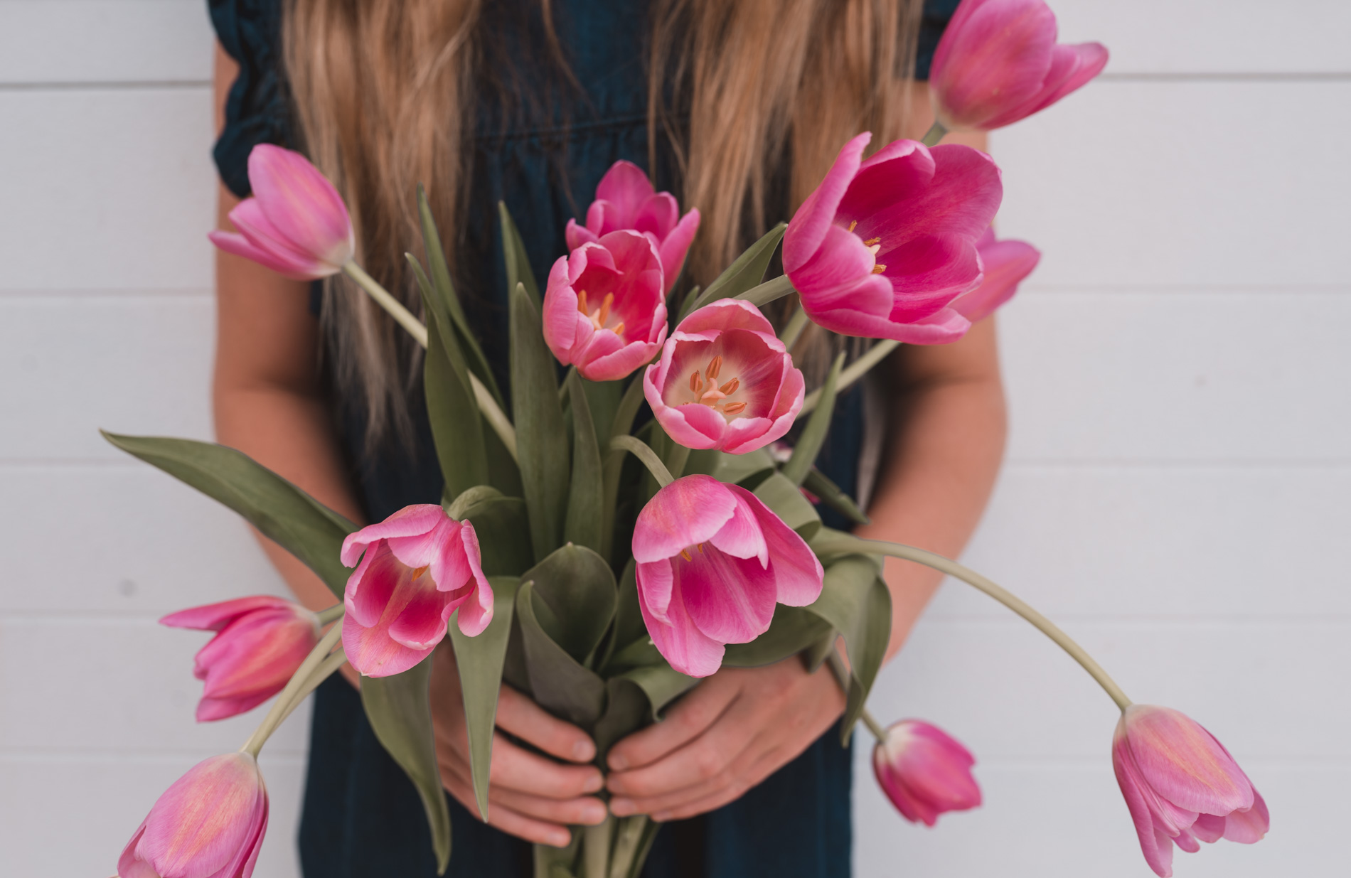 Planting Bulbs