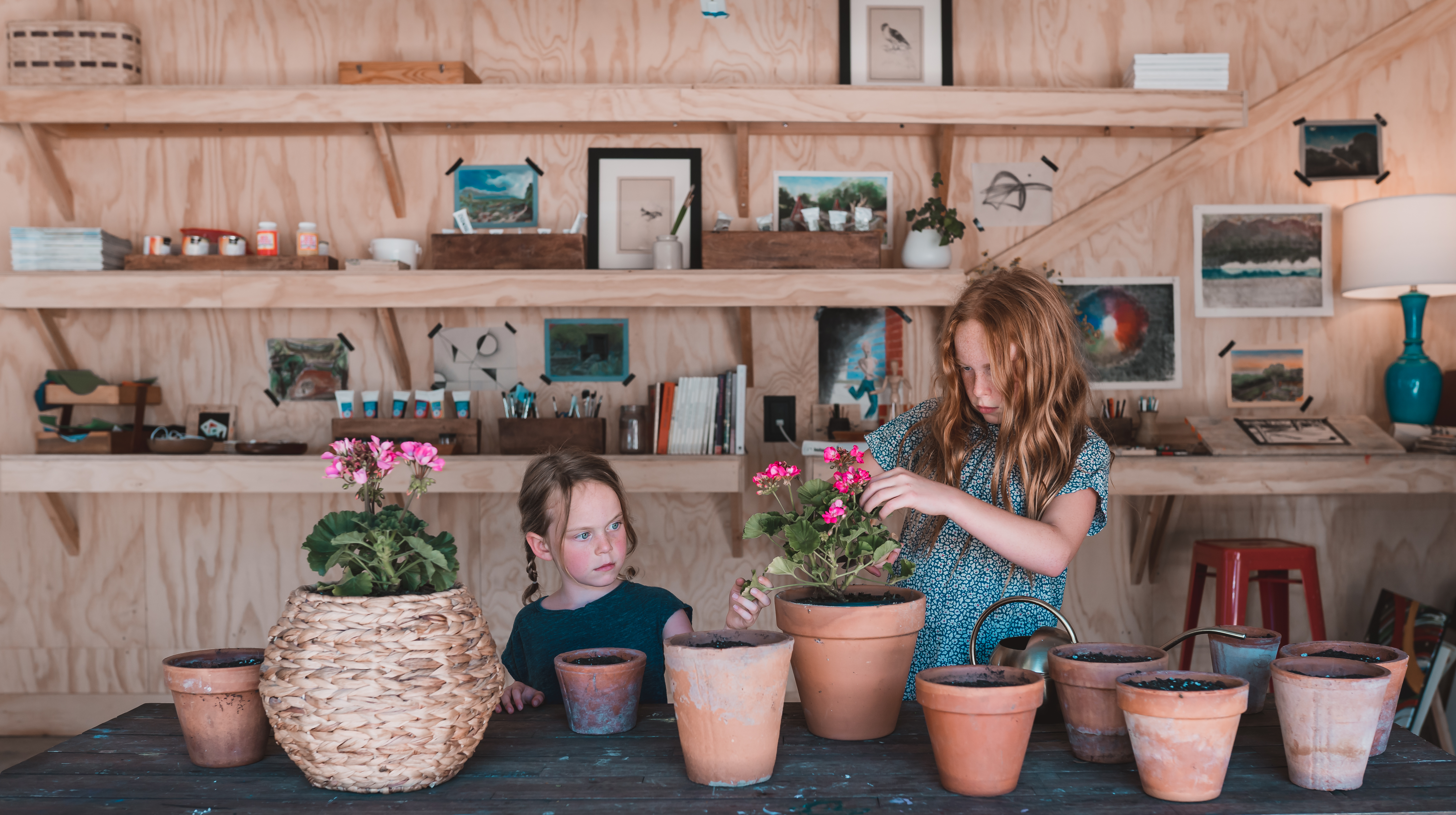 Propagating Geraniums