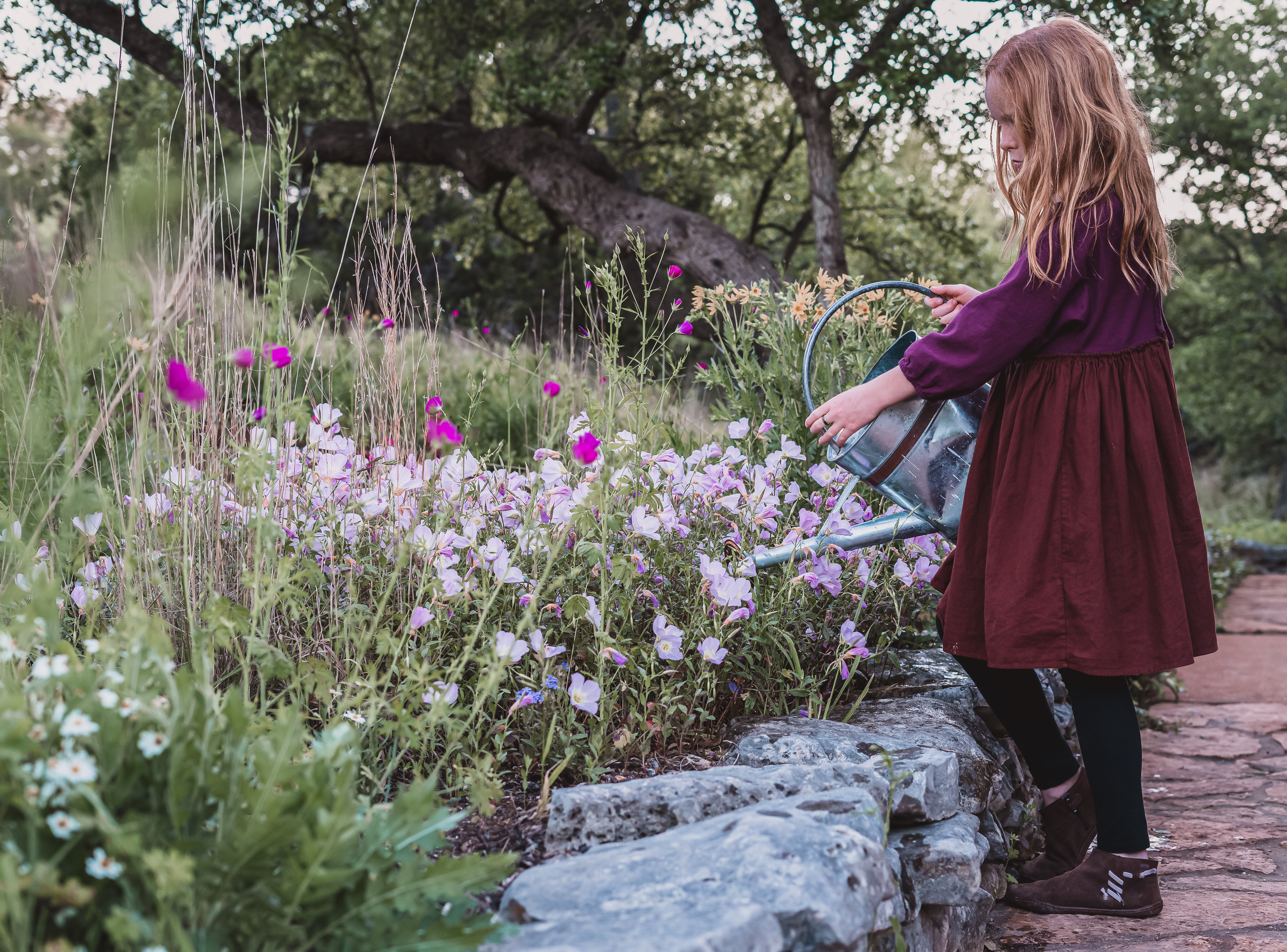 Sowing Wildflower Seeds
