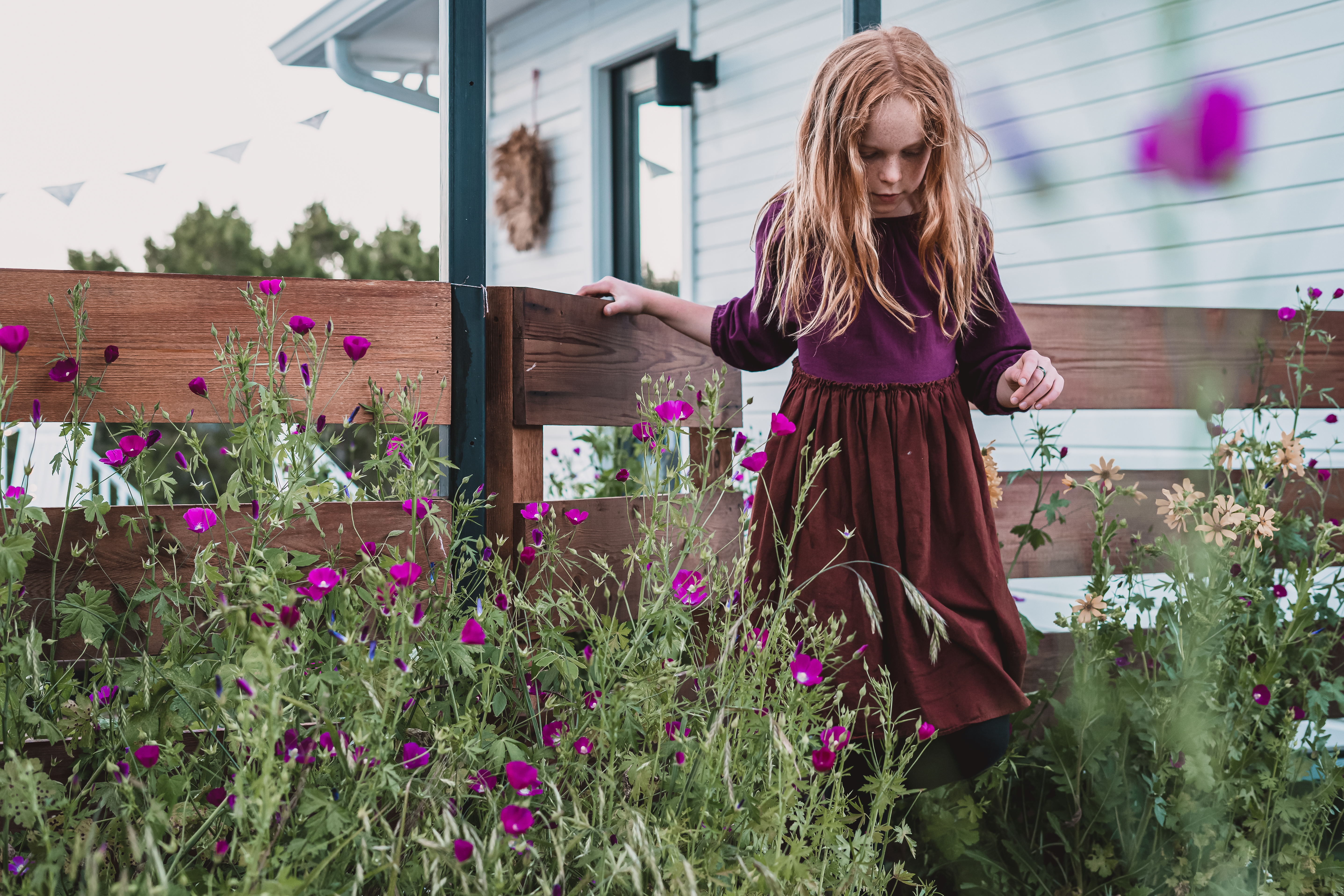Sowing Wildflower Seeds