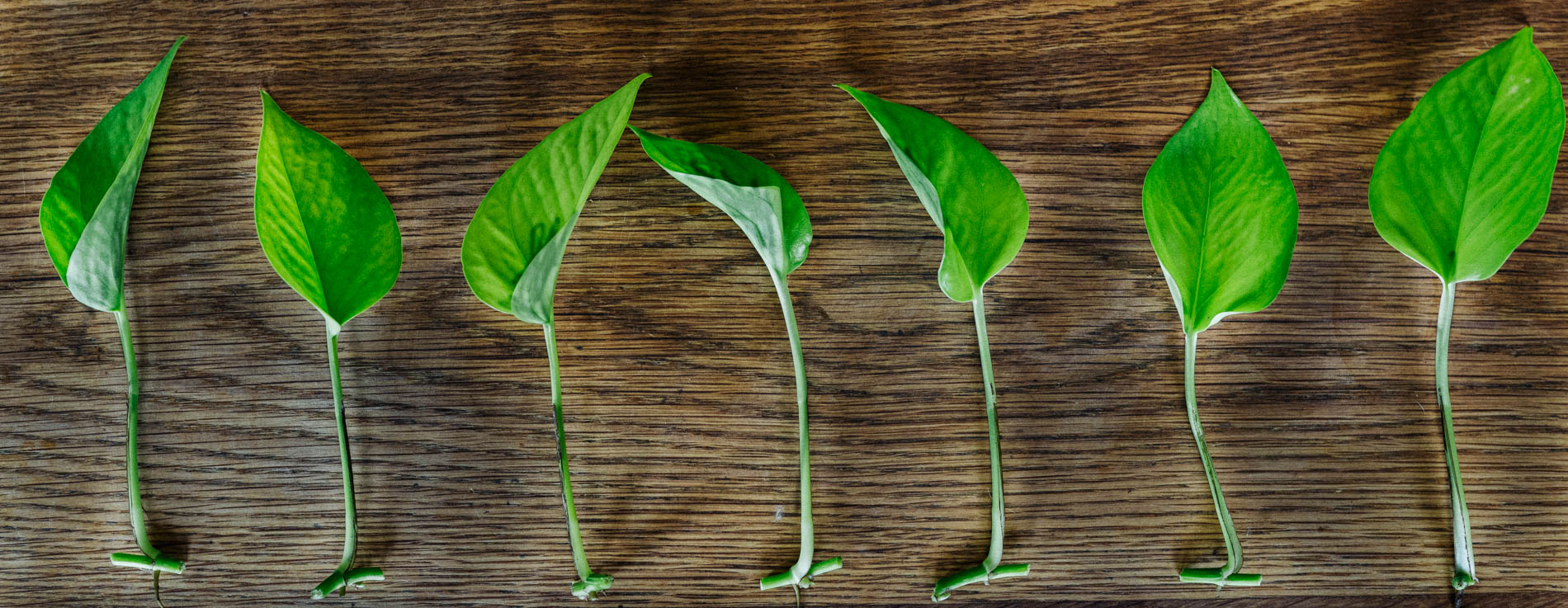 Water Propagation