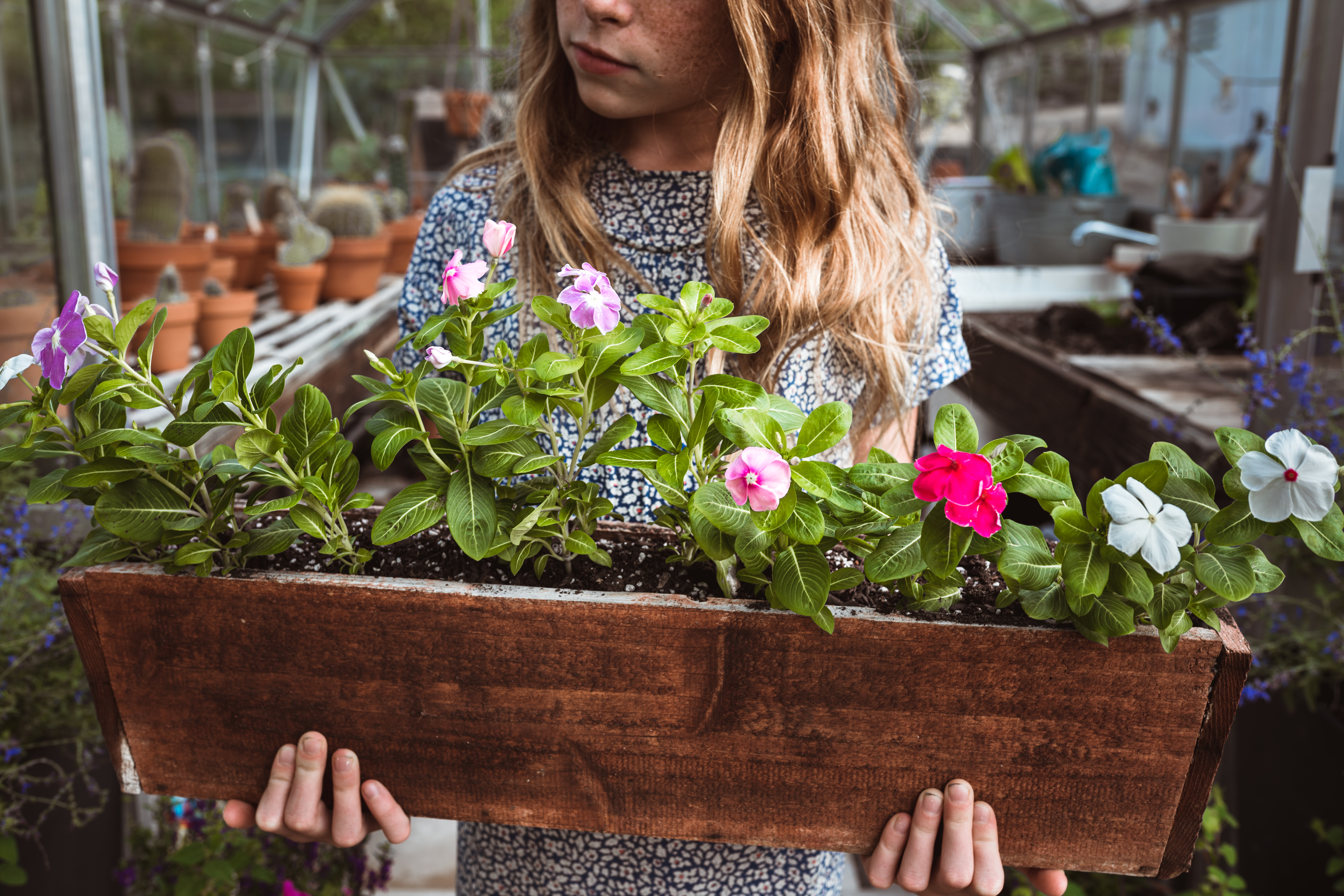 Window Flower Boxes